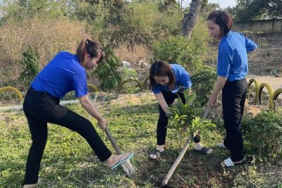 Trường mầm non Anh Đào hưởng ứng phong trào “Tết trồng cây đời đời nhớ ơn Bác Hồ”